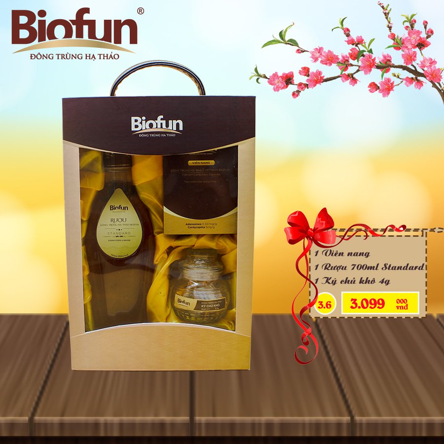 BỘ COMBO 3 SẢN PHẨM QUÀ TẾT ĐTHT BIOFUN SỐ 3.6