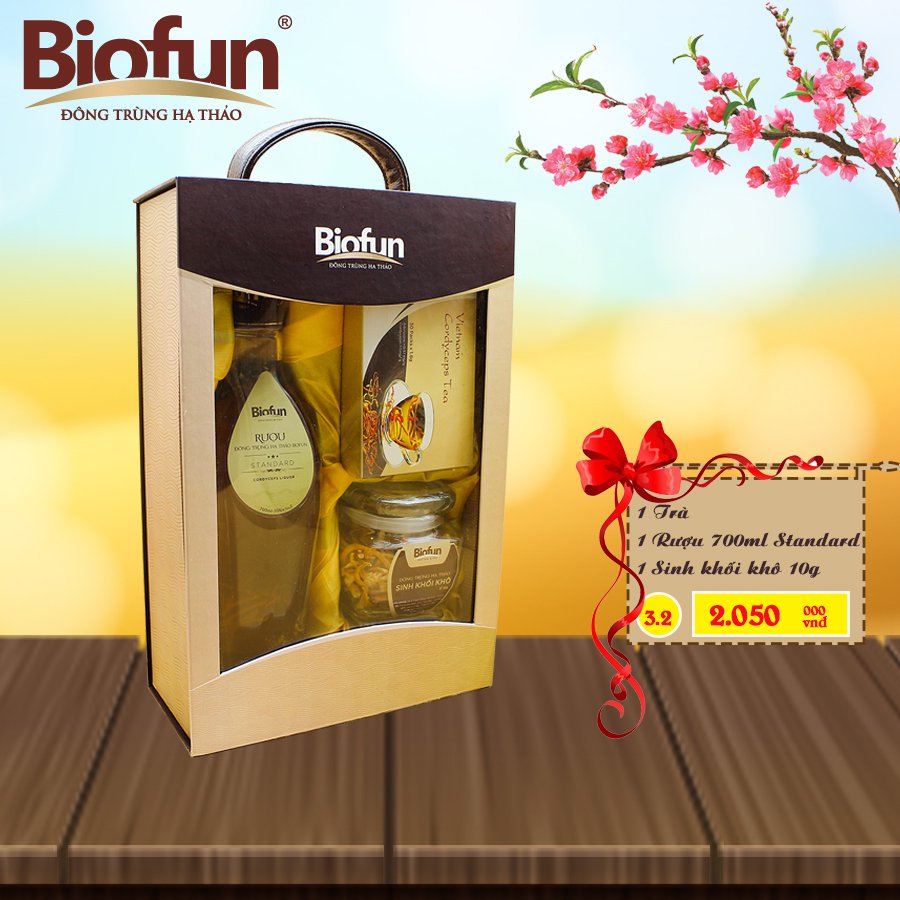 BỘ COMBO 3 SẢN PHẨM QUÀ TẾT ĐTHT BIOFUN SỐ 3.2