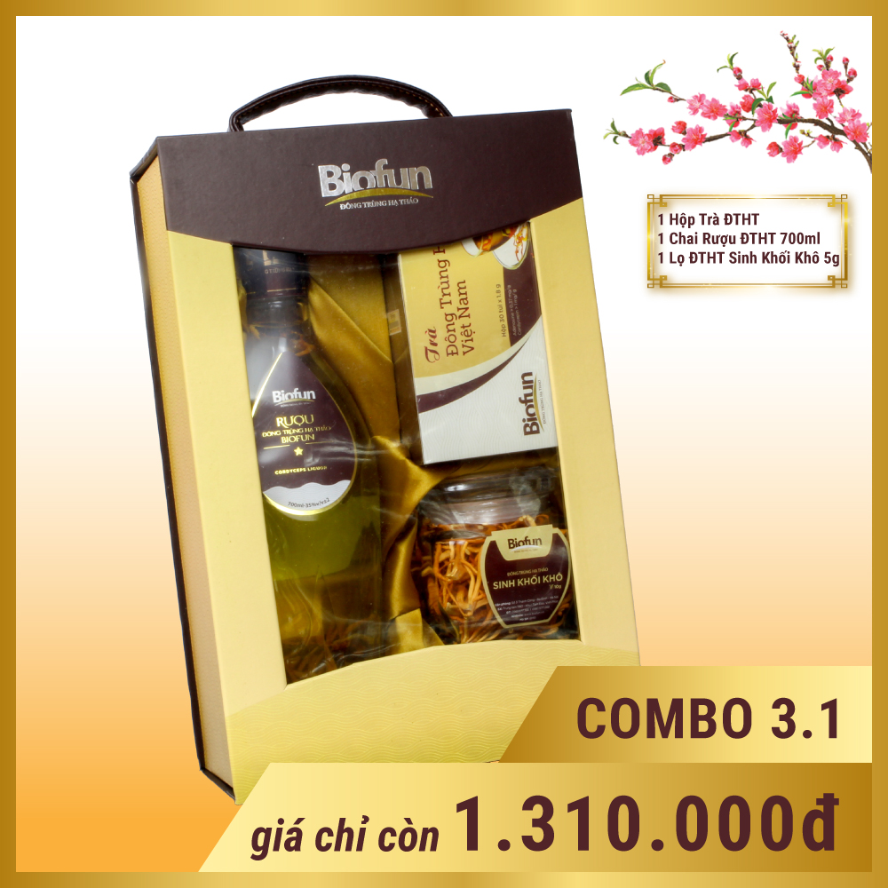 HỘP COMBO QUÀ TẶNG ĐÔNG TRÙNG HẠ THẢO BIOFUN SỐ 3.1